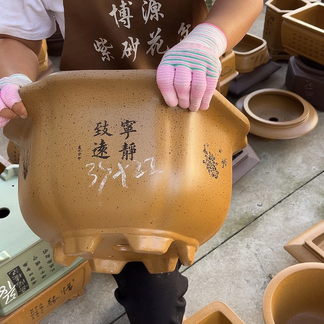 紫砂花盆盆景艺术