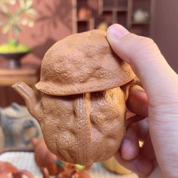 紫砂茶壶紫砂我做的