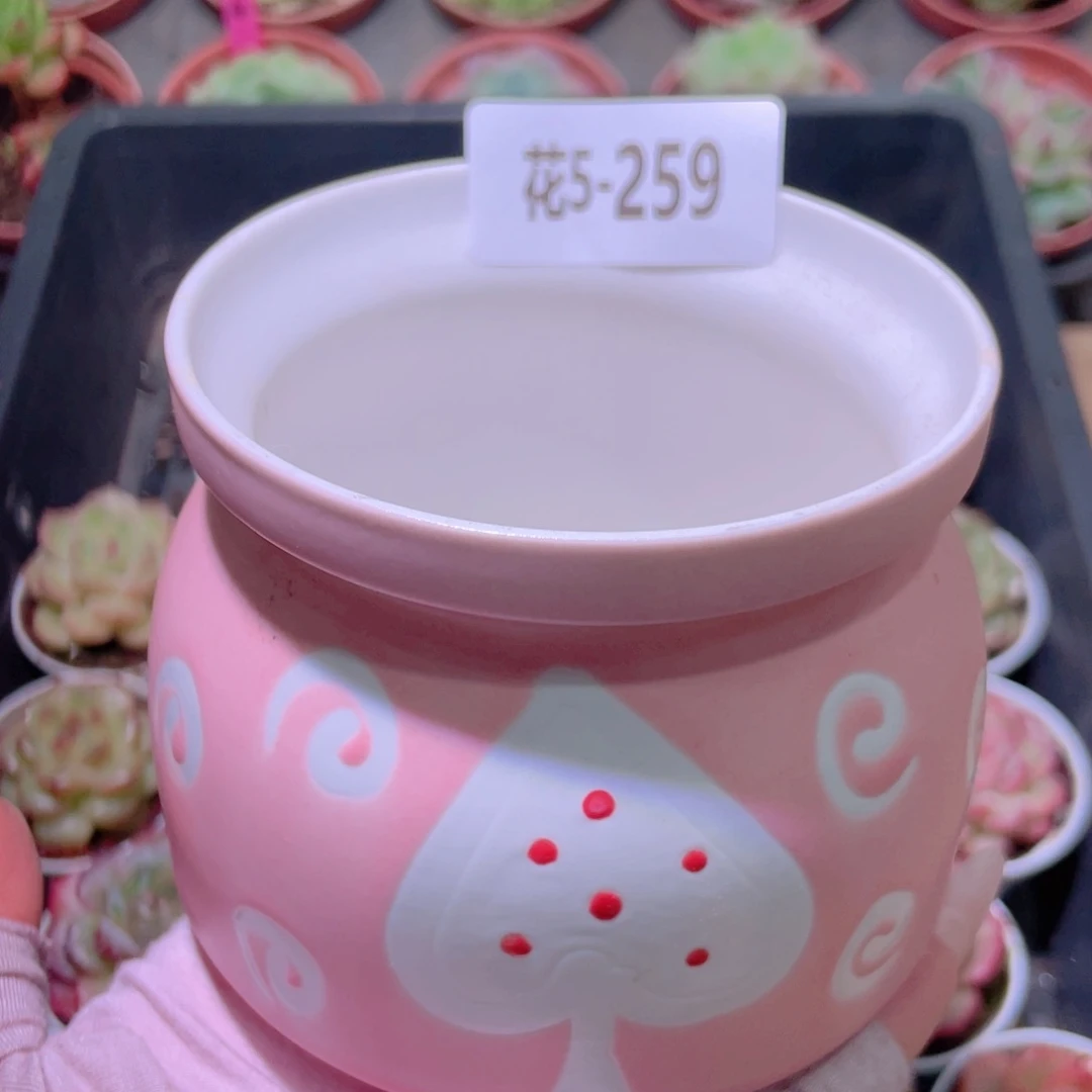 花利美5-259花盆一个