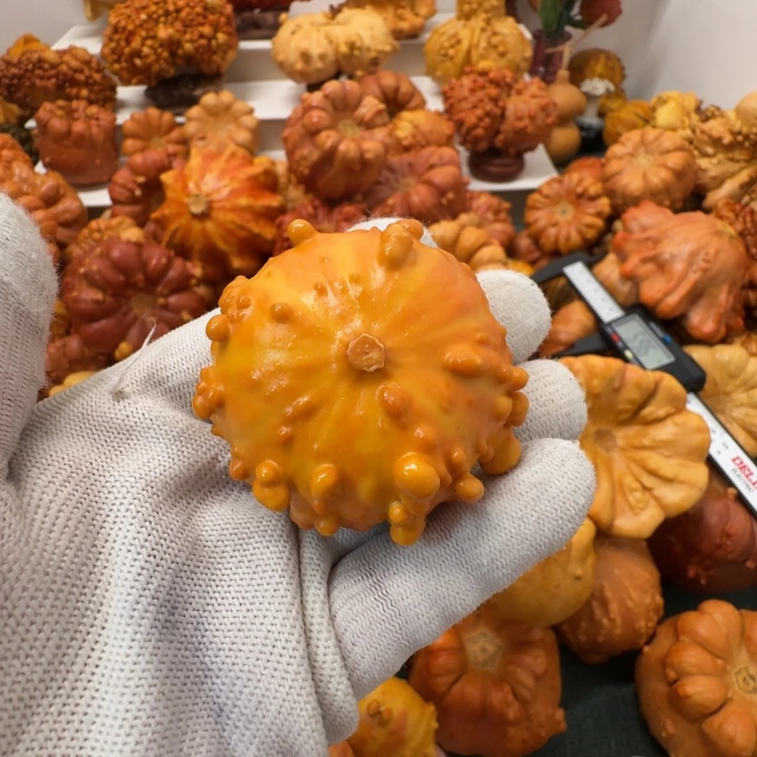 孤***子墨西哥葫芦疙瘩手把件