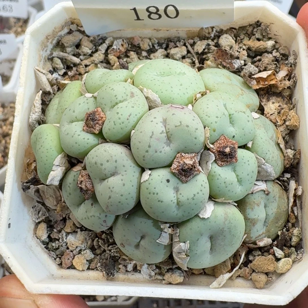 180。