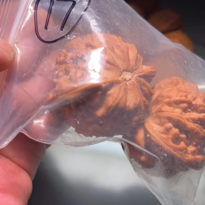 Z***R文玩核桃吊坠17呃呃呃呃