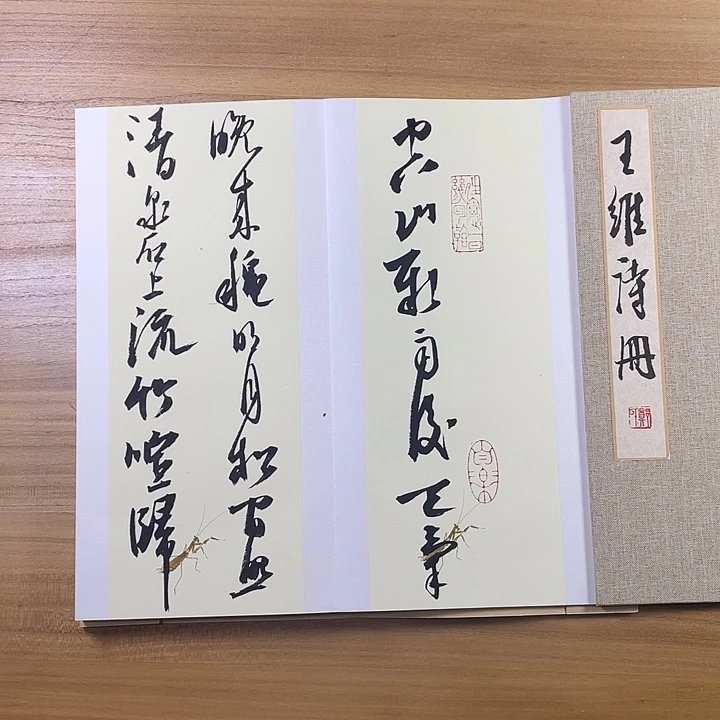 书法中书协会员作品