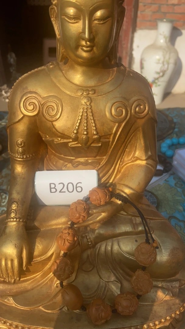 精选商品.替代链接金刚菩提206