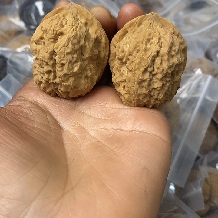 核桃云南铁核桃基地8