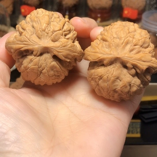 特价福利：大龙鼎