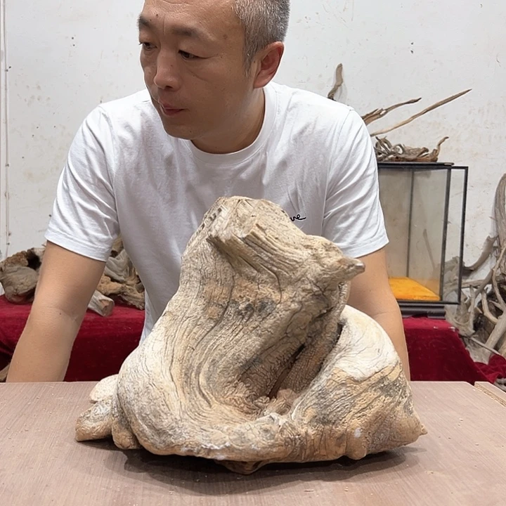 柏木幸*纪我们的生活也是如此的丰富