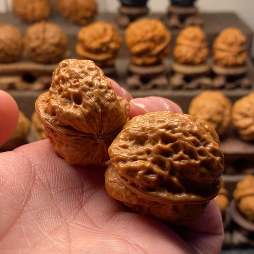 文玩核桃把件福利龙脊金蟾王36尺寸