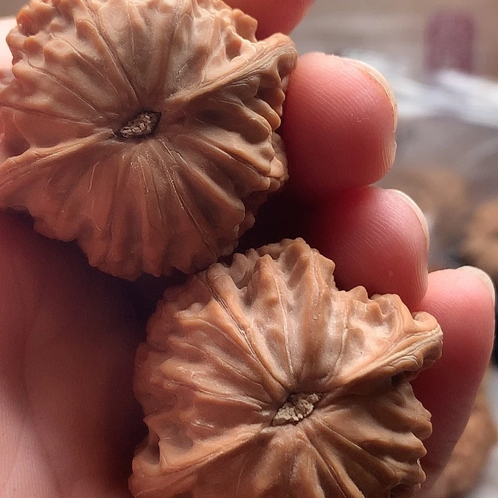 ！***！吊坠桃核山地果磨盘尺寸40