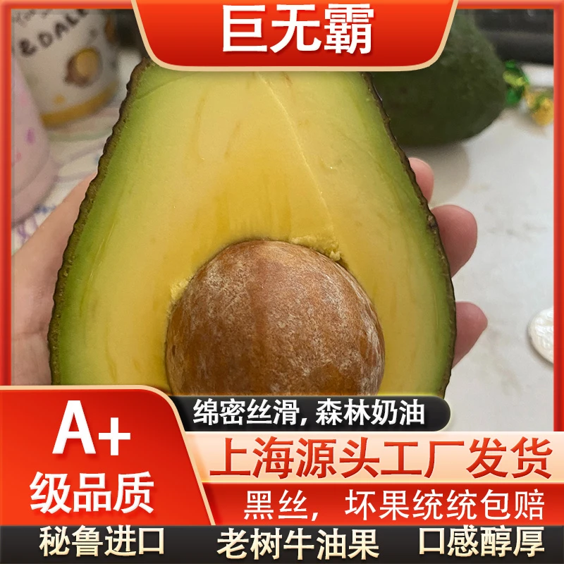 现货上海超大批发成熟水果hass品种速发哈斯鳄梨进口牛油果巨无霸