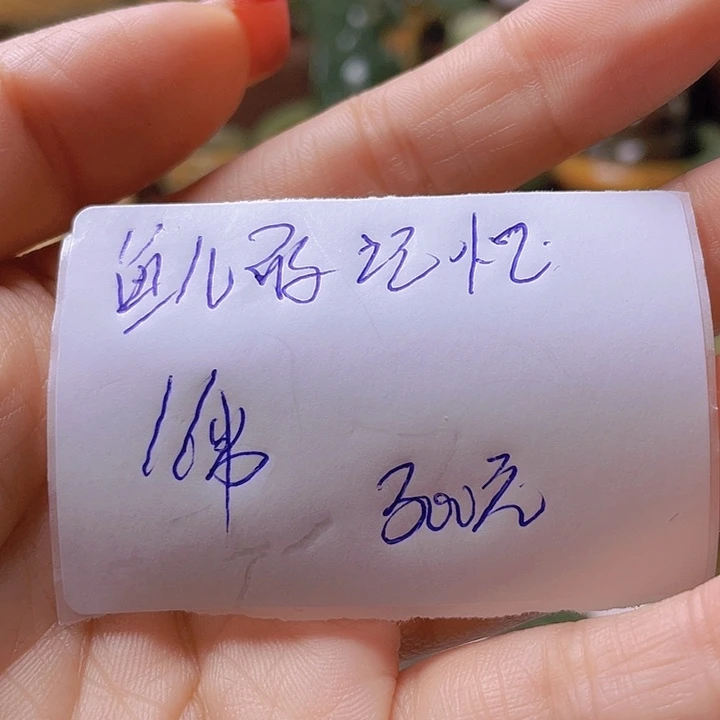未镶嵌岫岩河磨玉（透闪石质玉）挂件鱼***忆