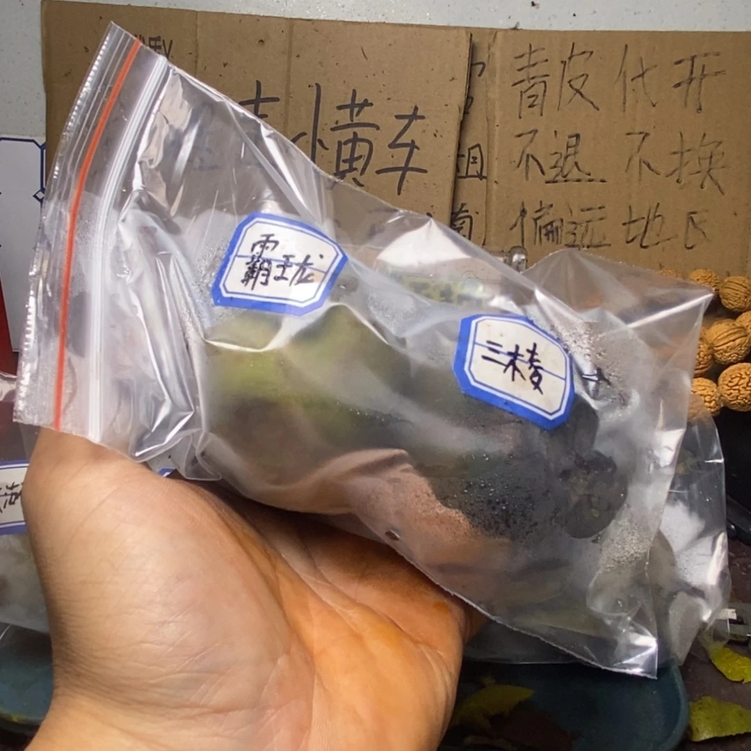 Zjc产地直发霸王龙三棱