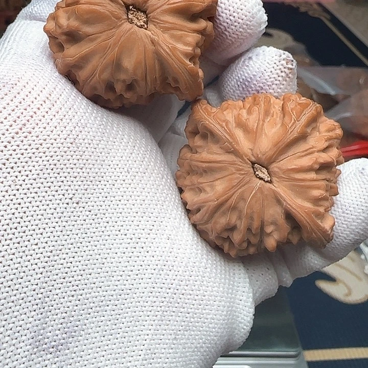 文玩核桃吊坠鹤全品44磨盘