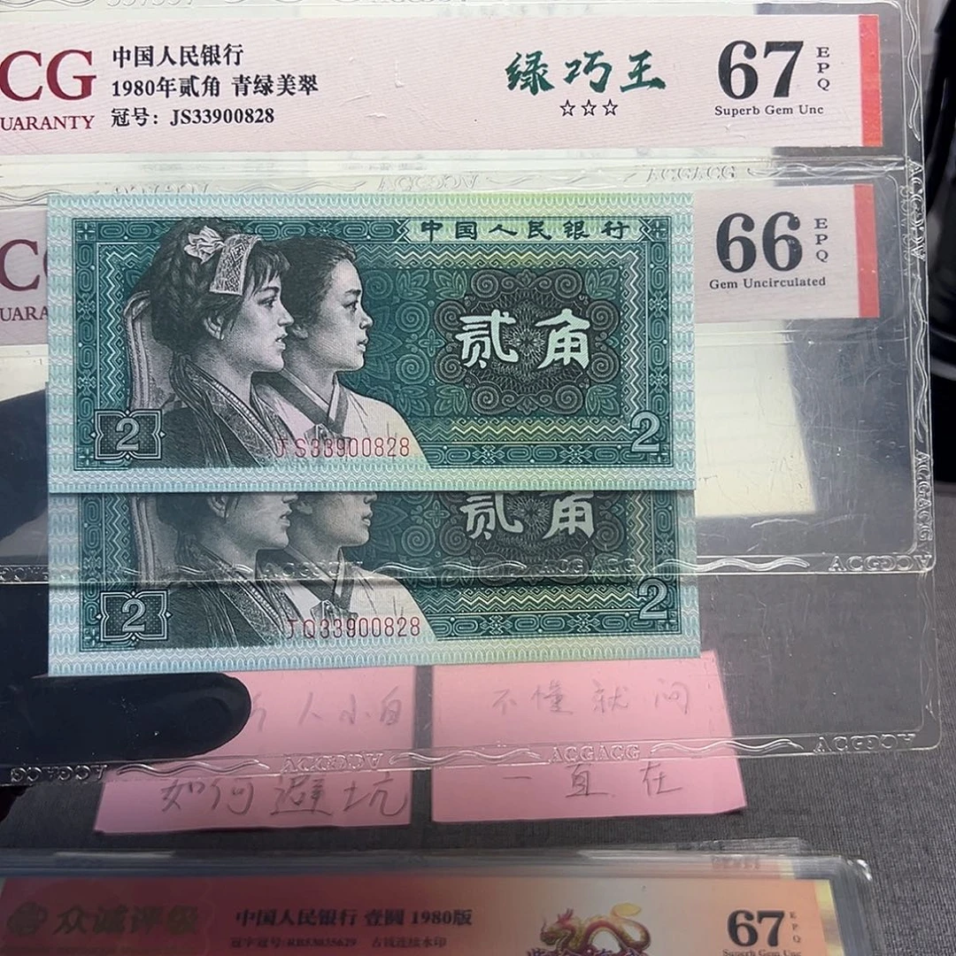 8002双胞胎无47尾8一对如图