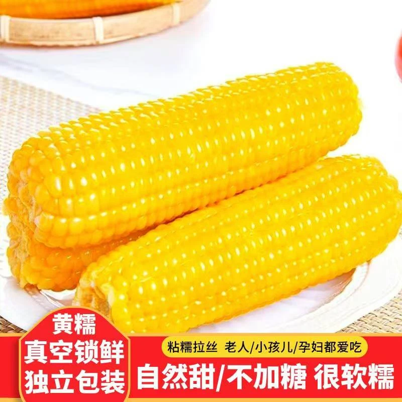 24年新鲜东北粘糯黄糯玉米10根6斤装