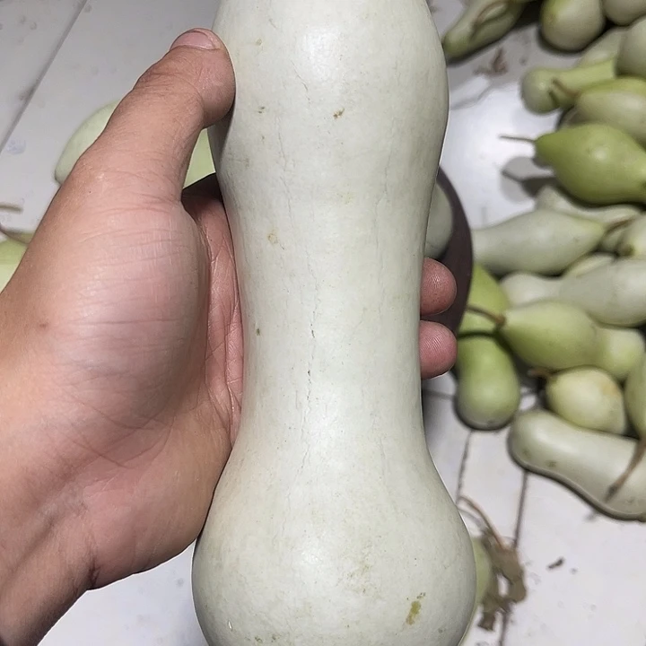 非洲紫檀（红花梨）小*卢