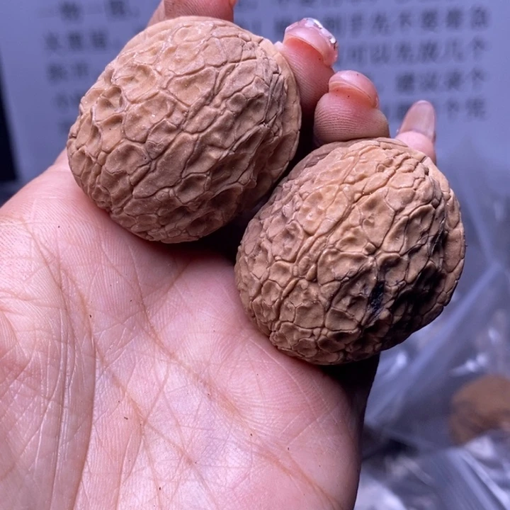 核桃云南野生铁核桃144号37mm