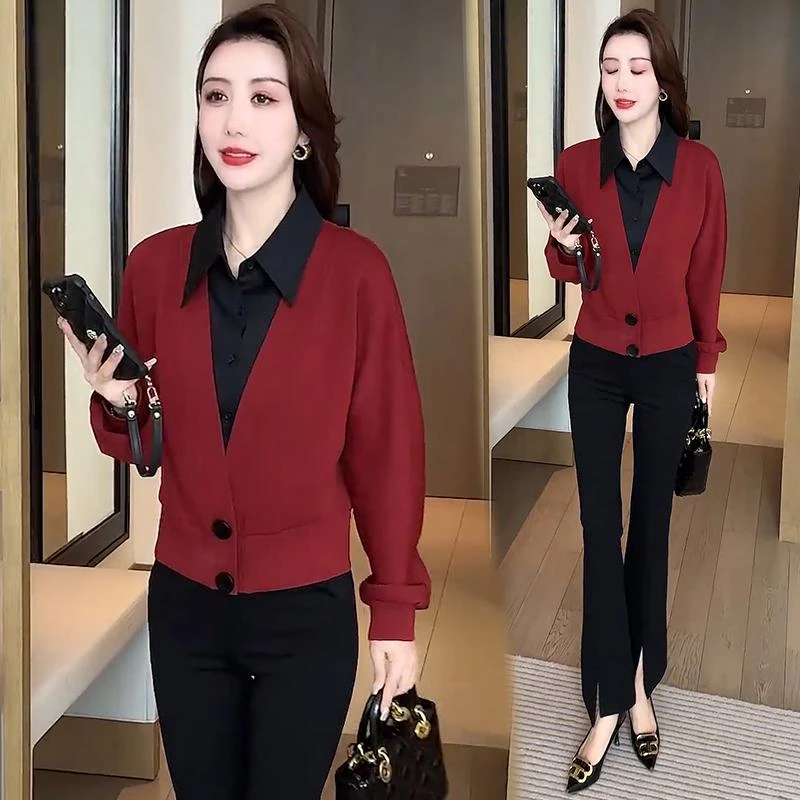 2025新款开春小众穿搭假两件套小衫时尚气质休闲长袖衬衫气质上衣