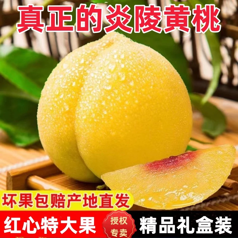 【顺丰空运】现摘现发锦绣黄桃新鲜应季水果爆甜多汁蜜香味浓郁