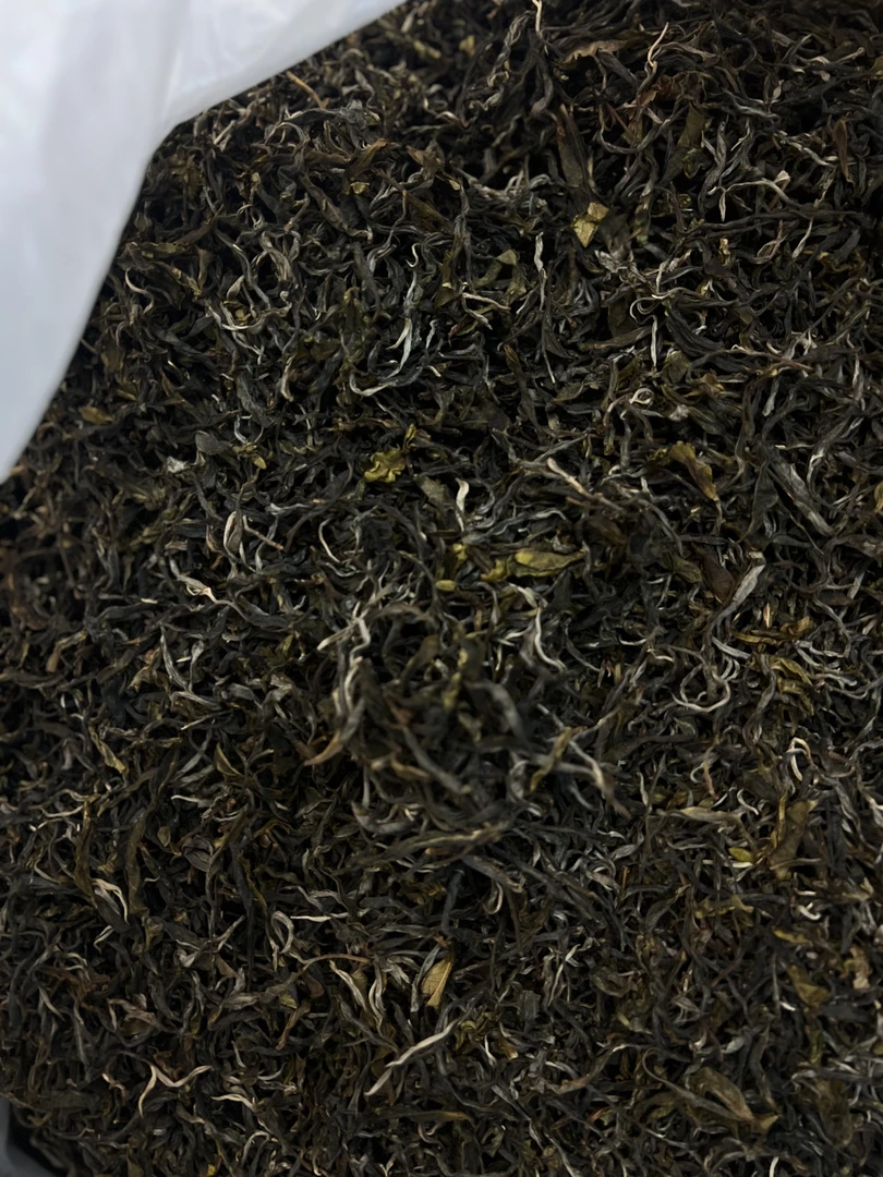 云南临沧2025年头春古树懂过普洱茶生茶散茶