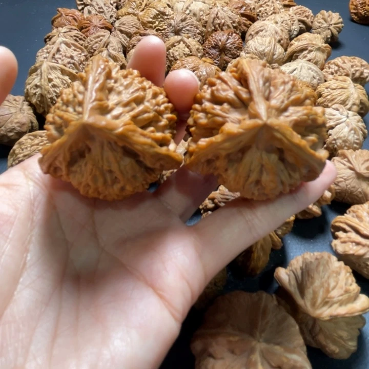 官帽三棱44尺寸核桃哈哈哈哈哈哈哈哈