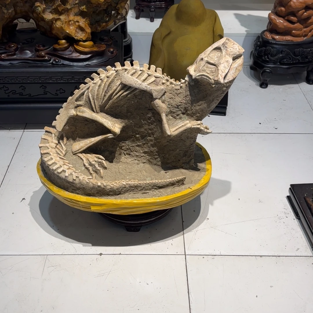 6***j鹦鹉嘴龙摆件的一个