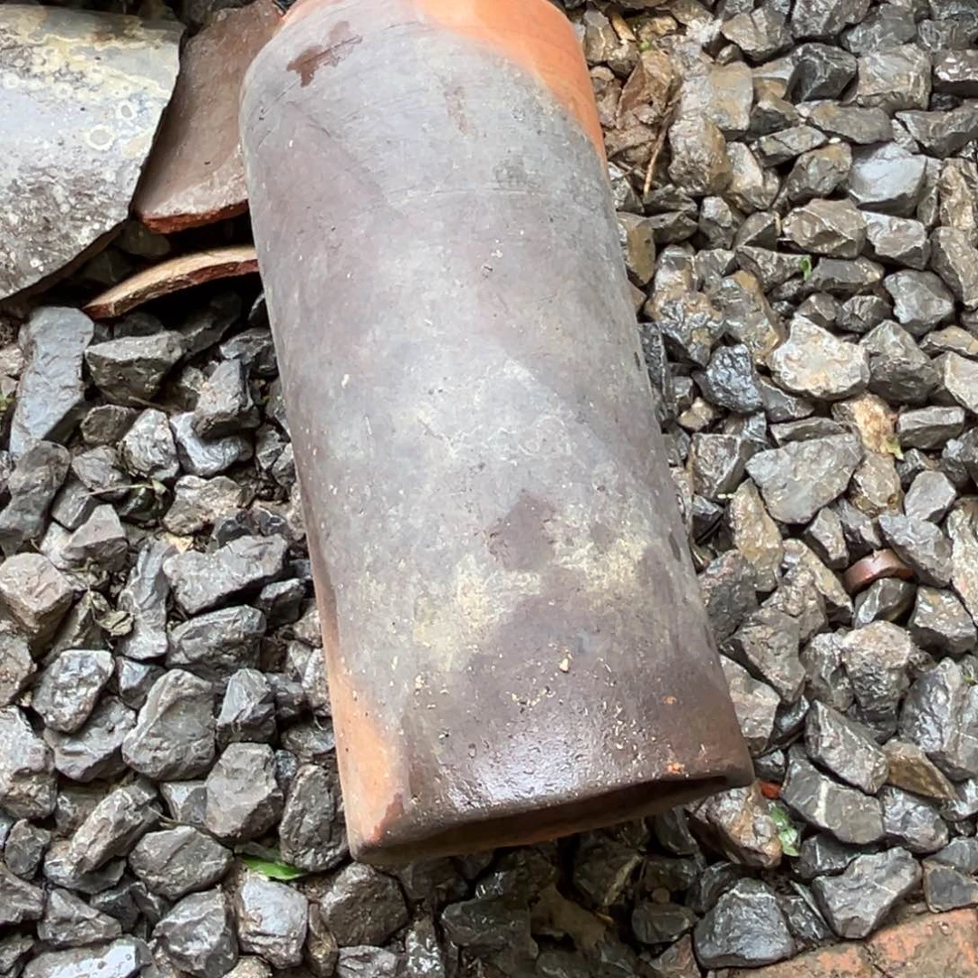 大**欢种花一物一拍