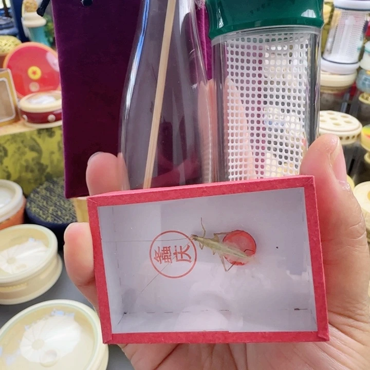 绿色竹岭筒套啊啊啊啊啊