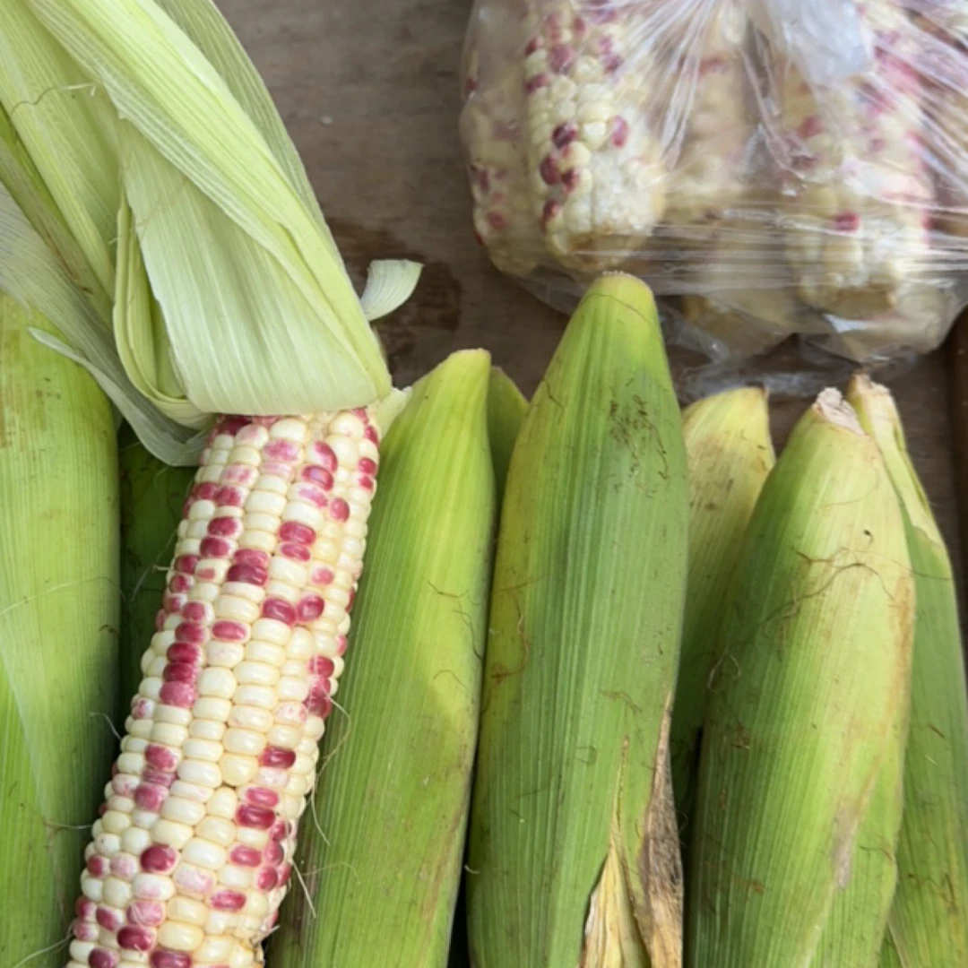 仙居-农家新鲜带皮花糯玉米当季现摘