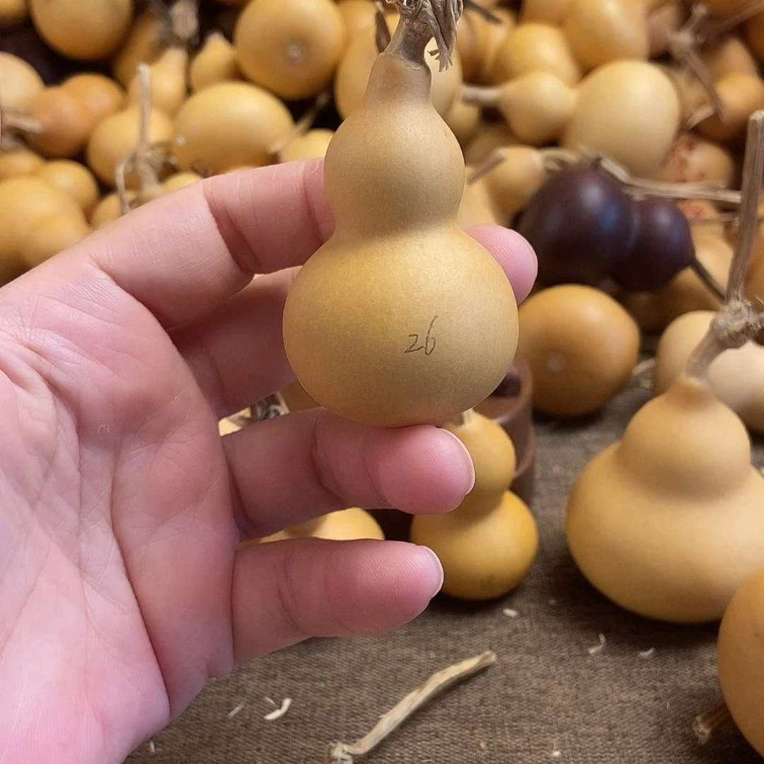 文玩葫芦 完美主义者 慎拍26