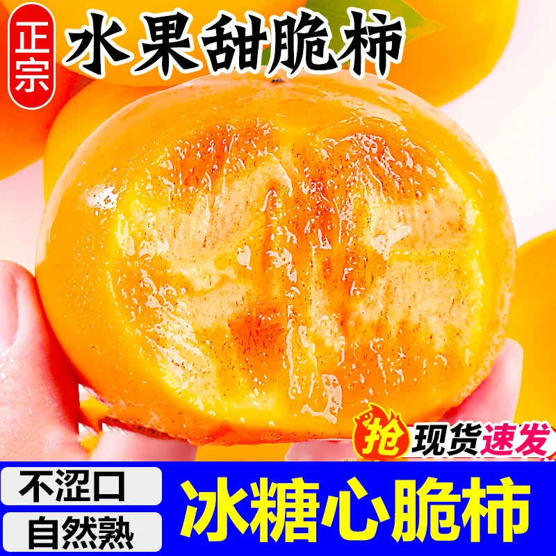 山西阳丰脆柿子脆甜巧克力柿子当季新鲜柿子硬柿子现摘现发