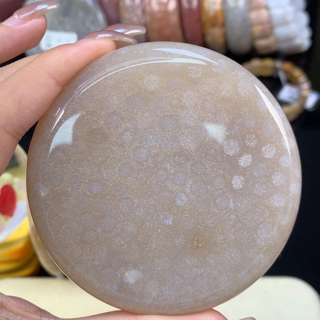 【闪购商品】颈饰未镶嵌硅化珊瑚（珊瑚玉）上新镯饼可做54以下（39号）