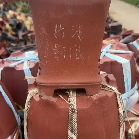 你就在家里待不着啦哈