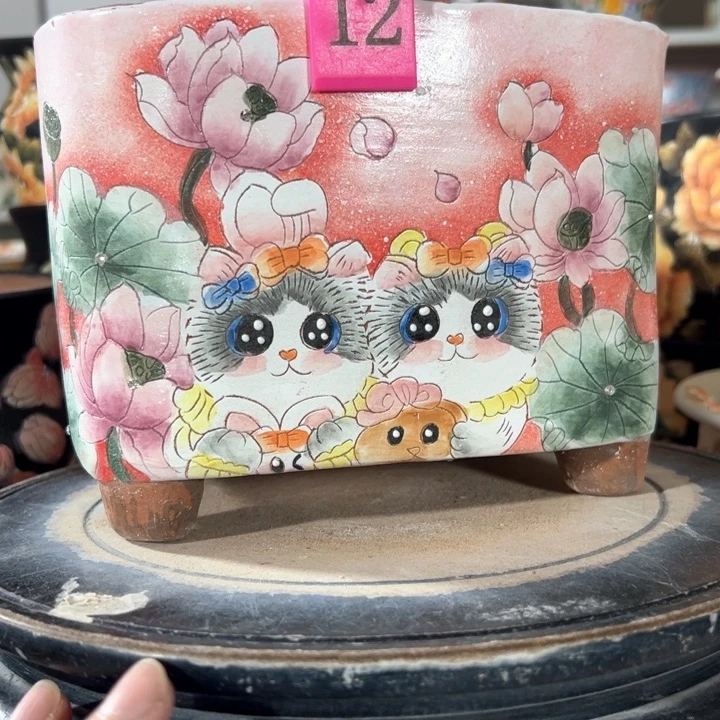 满38包邮 不满足不发哈