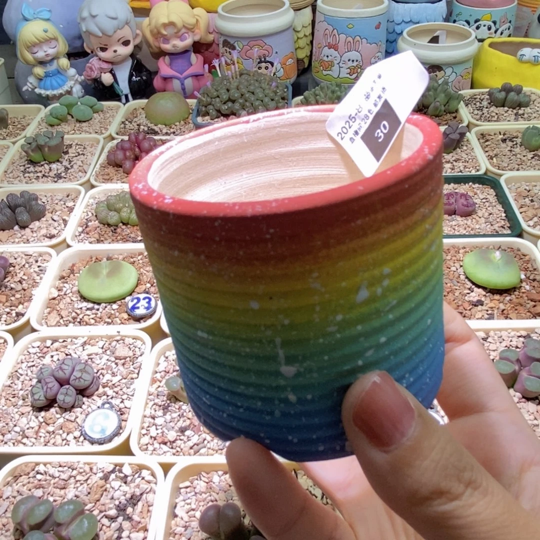 30，30，30，30，30，30，