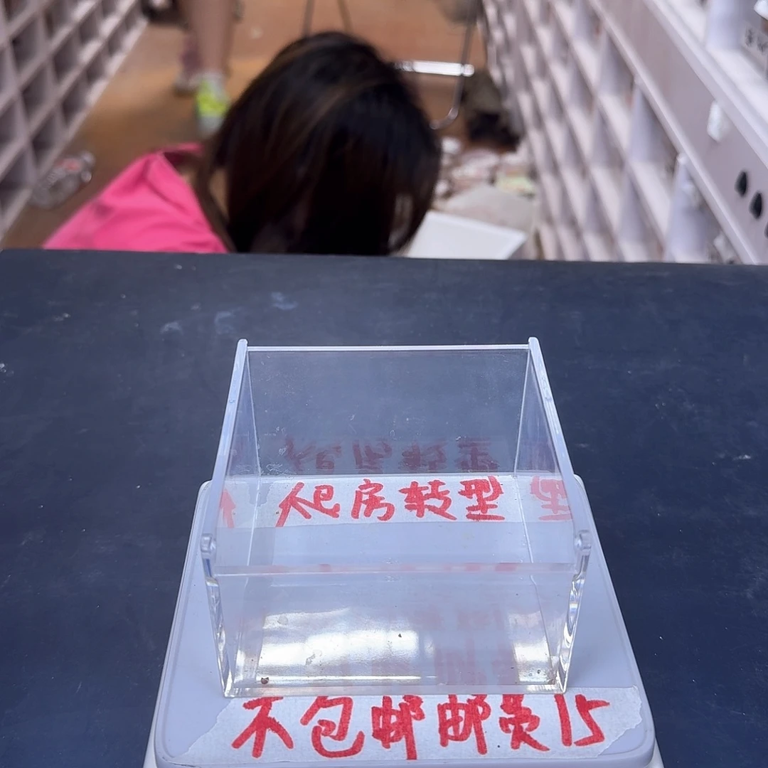 豹纹守宫bzbzbbz十条