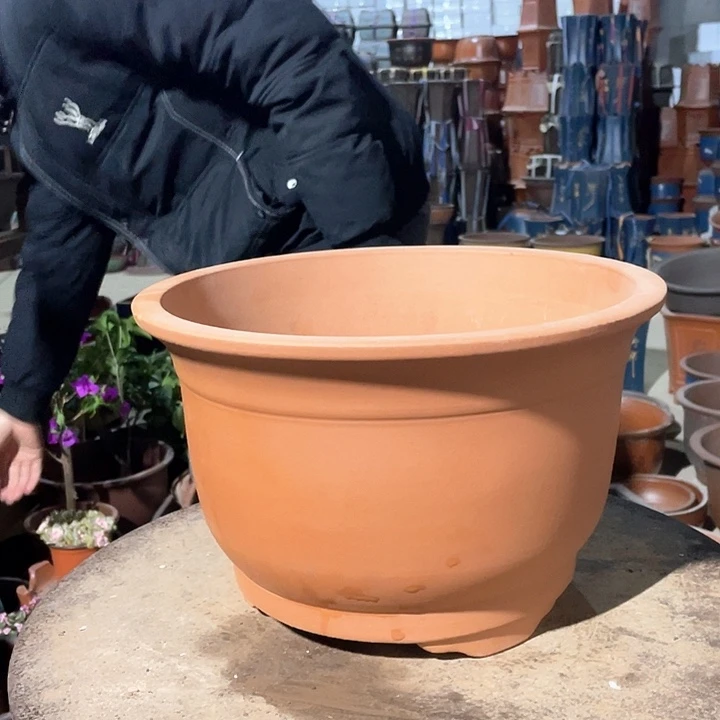 紫砂小马30花盆花盆