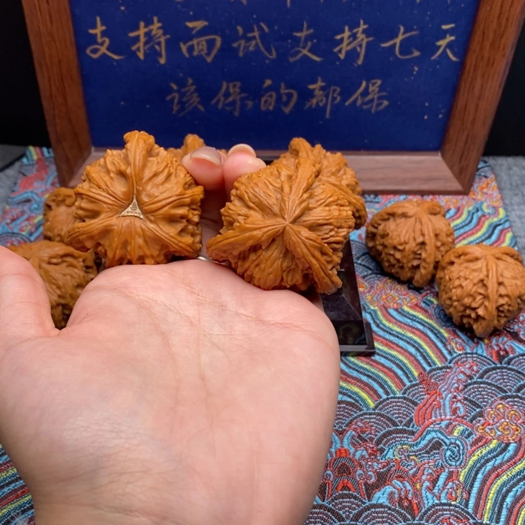 【闪购商品】.*煦白狮