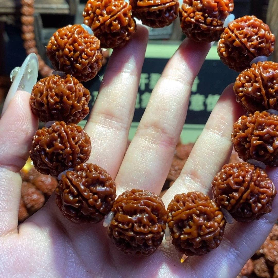 手串金刚菩提226原生态