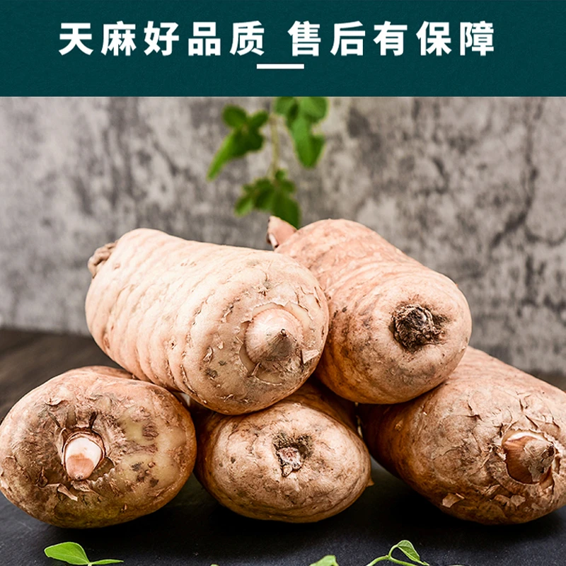 现挖乌红杂交天麻新鲜天麻，菜麻 蔬菜天麻