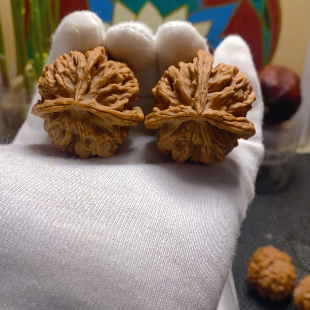 核桃42尺秦岭龙纹三棱