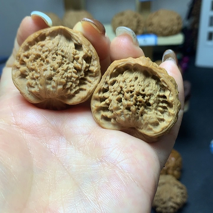 官帽蛇1111111111111111111