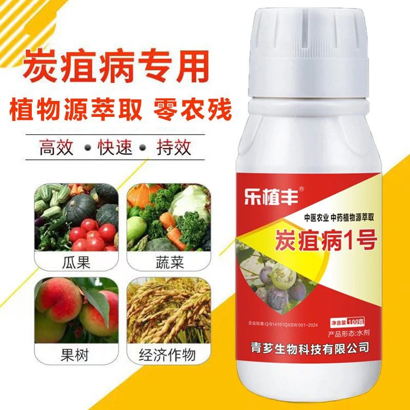 炭疽防治微生物菌剂柑橘番茄黄瓜葡萄苹果西瓜辣椒草莓炭疽通用
