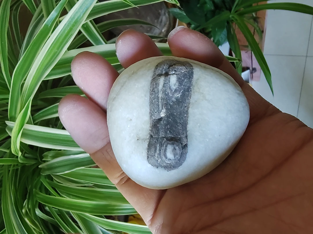 昆仑山奇石，一石一拍。纯天然奇石原石彩石