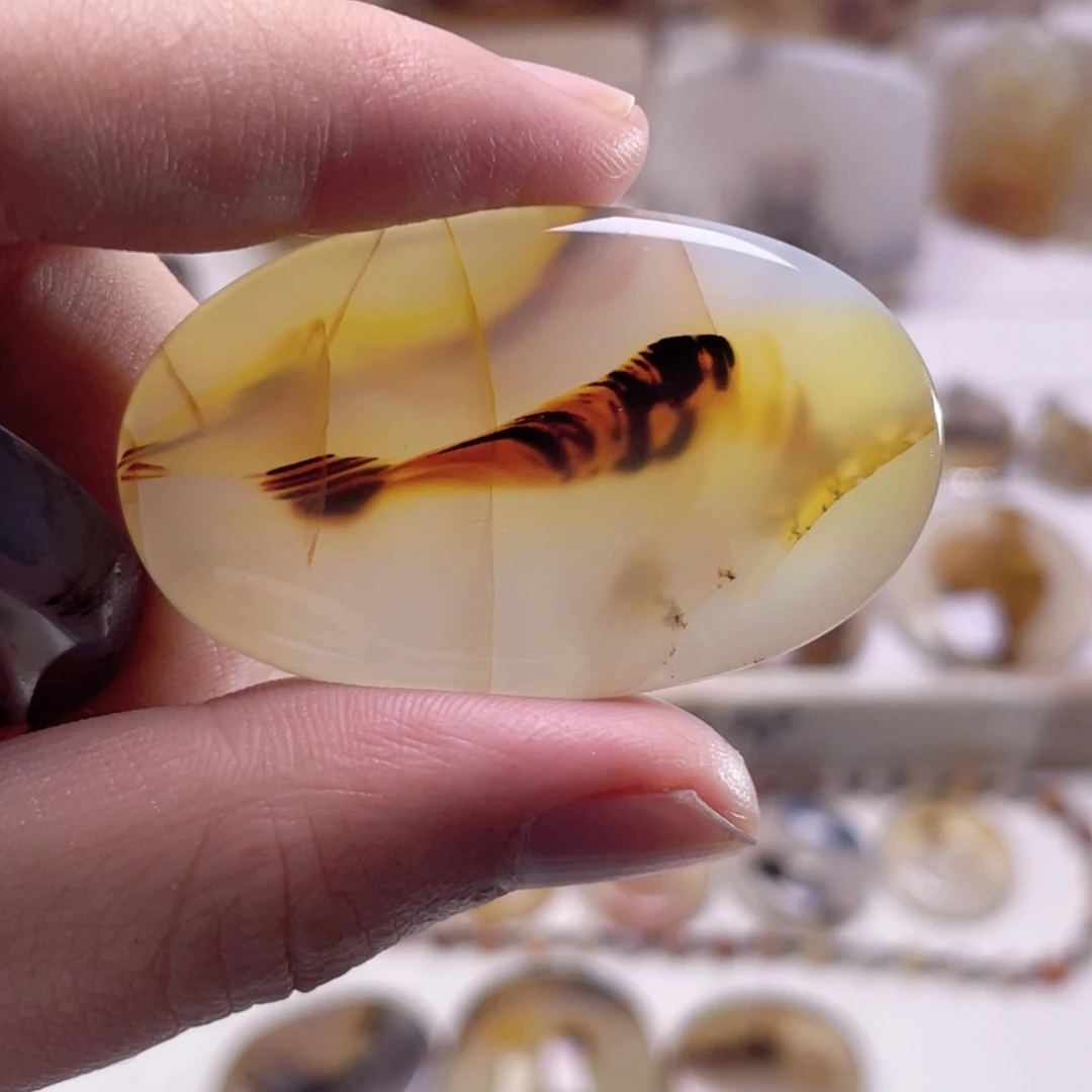 星***尘玛瑙/玉髓未镶嵌珠宝奇石