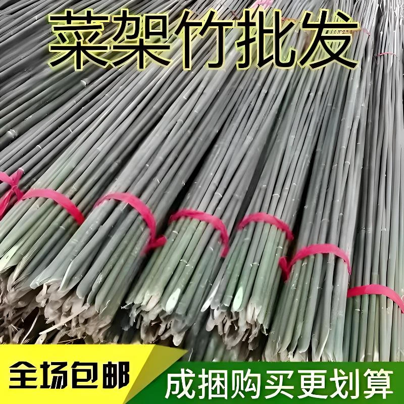 菜园竹竿蔬菜黄瓜豆角架杆番茄辣椒篱笆菜园子豆角长竹竿