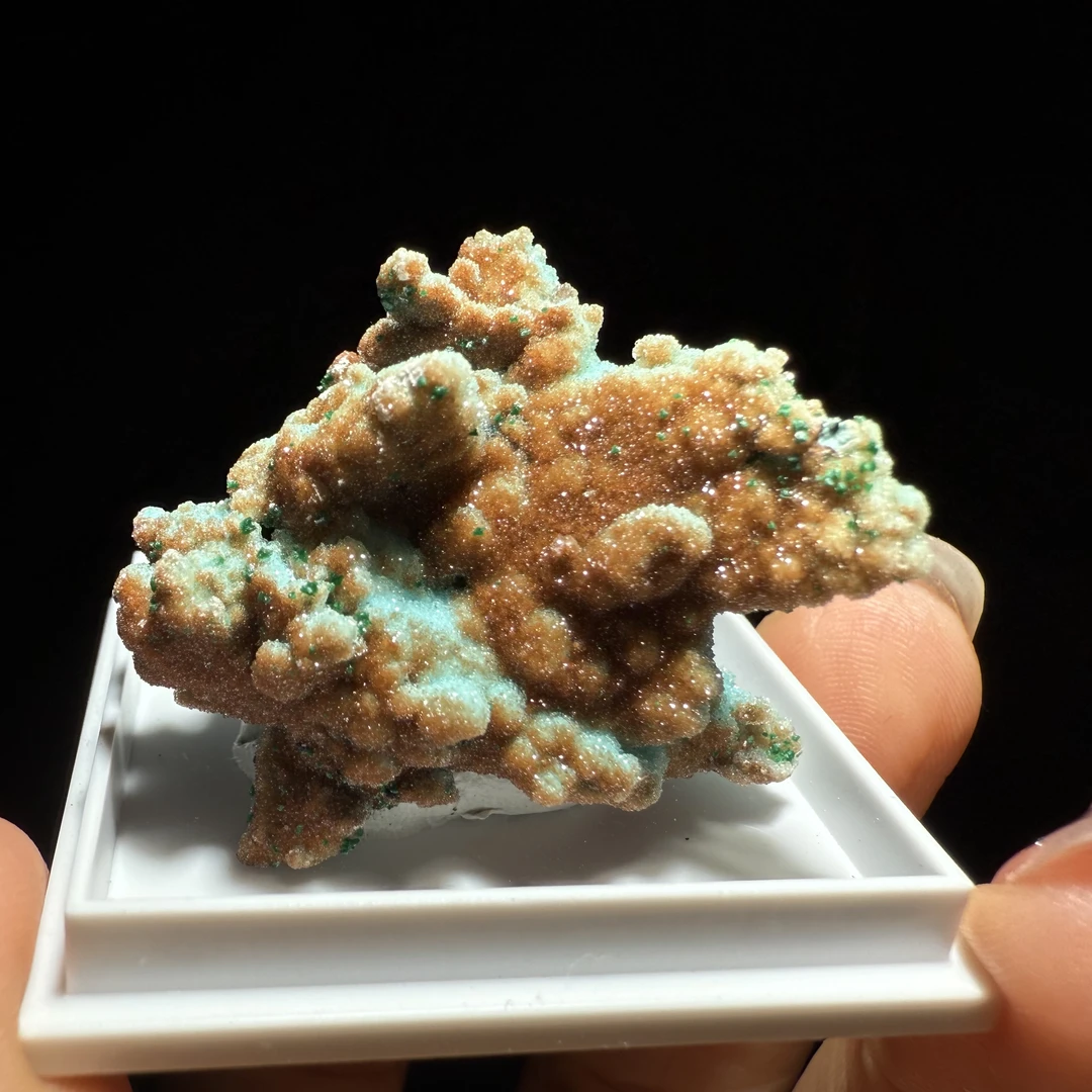 刚果 水晶包裹硅孔雀 小摆件
