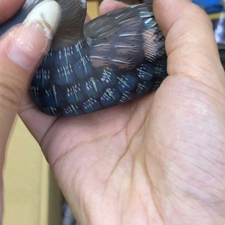 海外陶瓷茶具日化