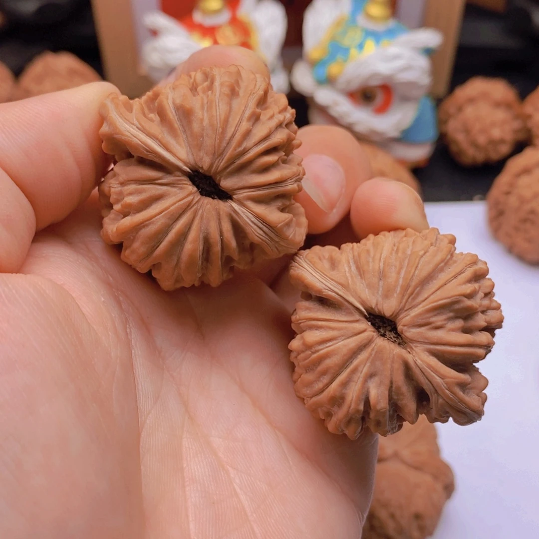 40尺全品老树山地楼