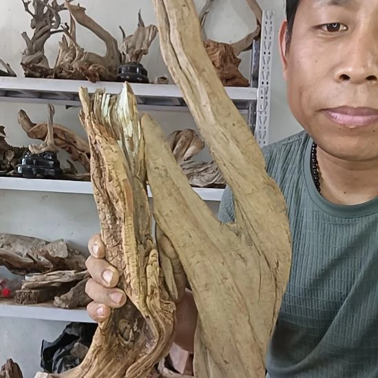 香榧木用**夫太行崖柏陈化料